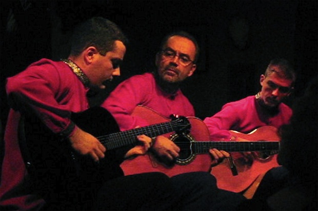 Balkan Strings Trio